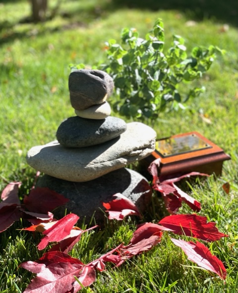  Affordable cremation